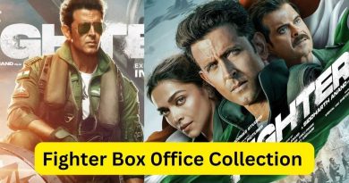 Fighter box office collection day 15: